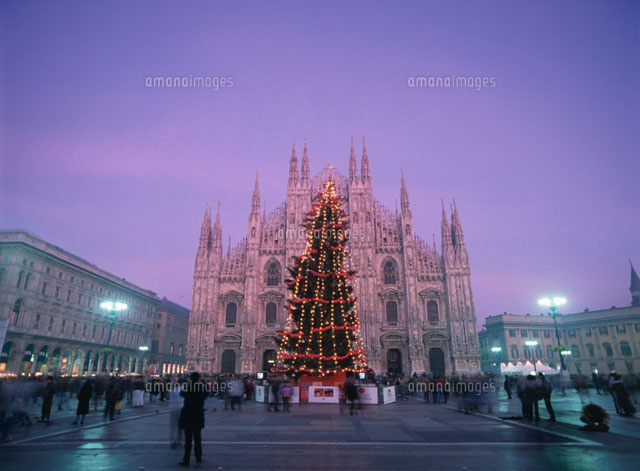 アールグラージュ ミラノドゥオーモ大聖堂 限定品 クリスマス トリックアート ドゥオモとクリスマスツリー ミラノ イタリア[01100000029]の写真