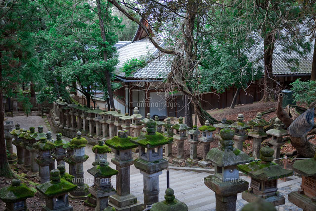 春日大社の石段と石燈籠 の写真素材 イラスト素材 アマナイメージズ