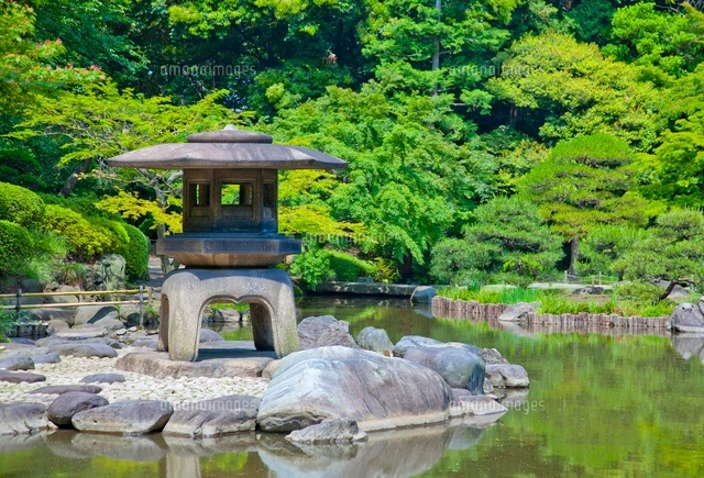 旧古河庭園の日本庭園心字池と石燈籠 01109090982 の写真素材 イラスト素材 アマナイメージズ
