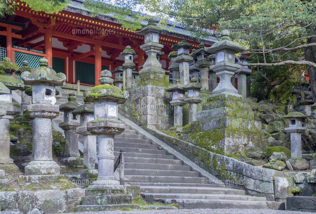 春日大社と参道の石燈籠 の写真素材 イラスト素材 アマナイメージズ