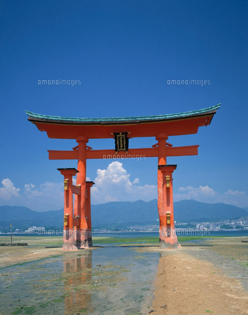 夏の厳島神社の鳥居 広島県[01269009573]の写真・イラスト素材｜アマナ