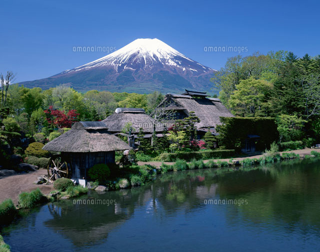 忍野八海から富士山[01269010214]の写真・イラスト素材｜アマナ