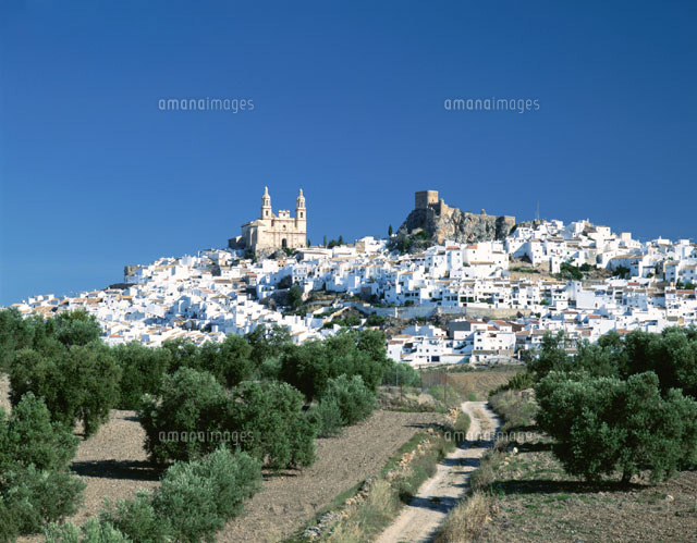 白い街並みの遠望 オルベラ アンダルシア地方 スペイン[01338013989]の