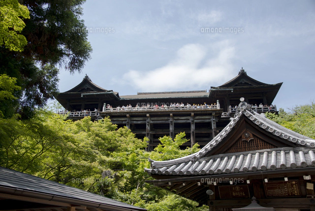 清水寺清水の舞台[01362012842]の写真・イラスト素材｜アマナ