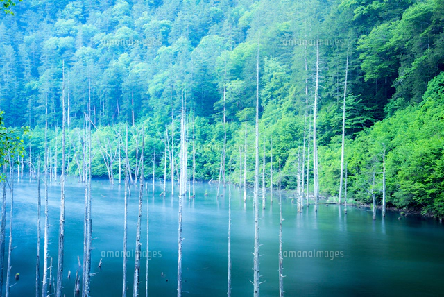 王滝村 蒸気霧流れる夜明けの自然湖[01362015443]の写真・イラスト素材