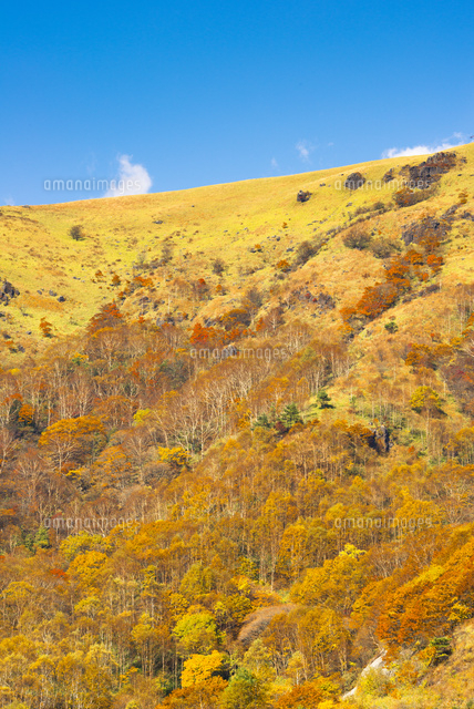 車山高原紅葉 の写真素材 イラスト素材 アマナイメージズ