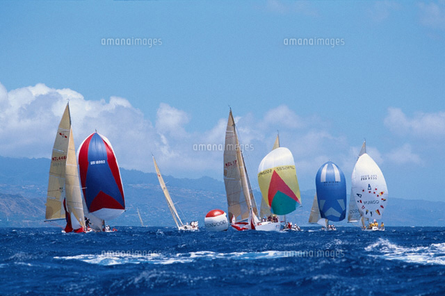 ヨットレース ハワイ の写真素材 イラスト素材 アマナイメージズ