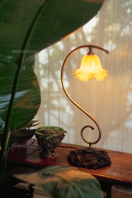 花型のライトスタンド の写真素材 イラスト素材 アマナイメージズ