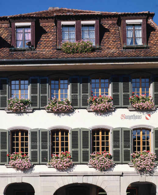 トゥーンの建物の窓辺の花 ベルン州 スイス の写真素材 イラスト素材 アマナイメージズ