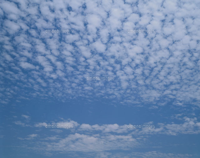 6月の空に浮かぶうろこ雲 狭山丘陵 埼玉[01590002729]の写真・イラスト