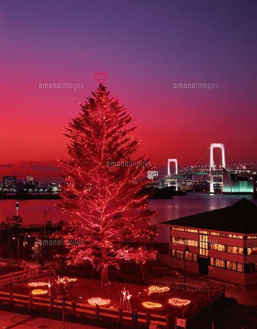 バレンタインツリーとブリッジの夜景 お台場 の写真素材 イラスト素材 アマナイメージズ