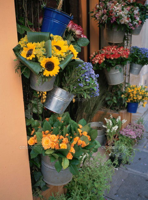 花屋の店先 パリ フランス の写真素材 イラスト素材 アマナイメージズ