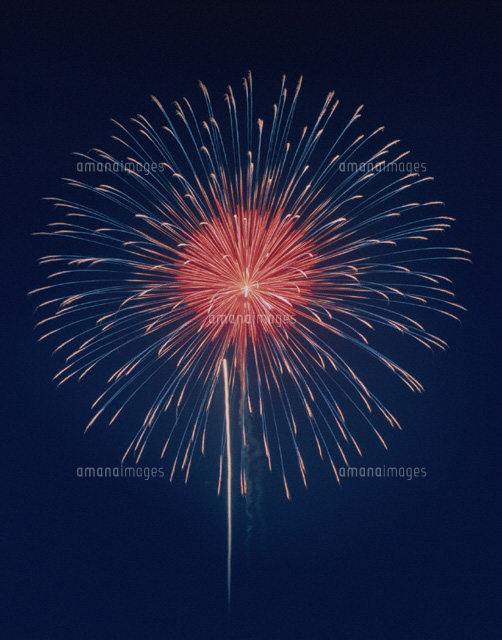 隅田川の花火 夏 東京都 の写真素材 イラスト素材 アマナイメージズ