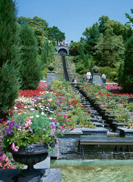 花のマイナウ島 ファンタスティック街道 ドイツ の写真素材 イラスト素材 アマナイメージズ