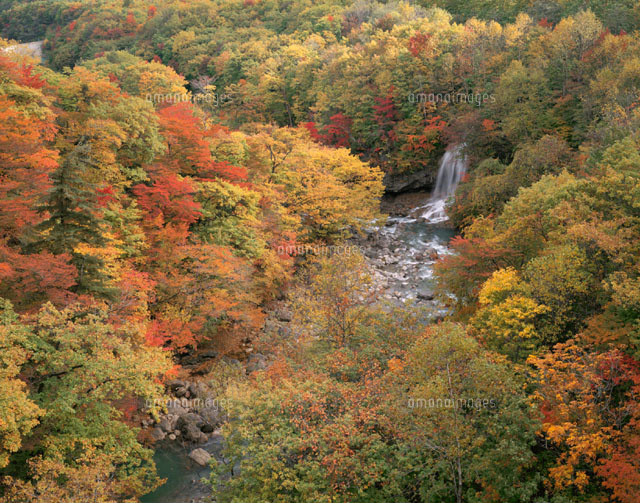 松川渓谷の滝と紅葉 八幡平 岩手県 の写真素材 イラスト素材 アマナイメージズ