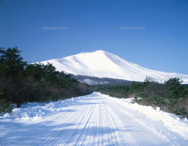 雪の道と森林と浅間山 軽井沢 長野県[01929003659]の写真・イラスト