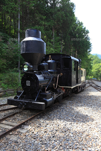 赤沢森林鉄道のSLボールドウィン号[01957011305]の写真・イラスト素材