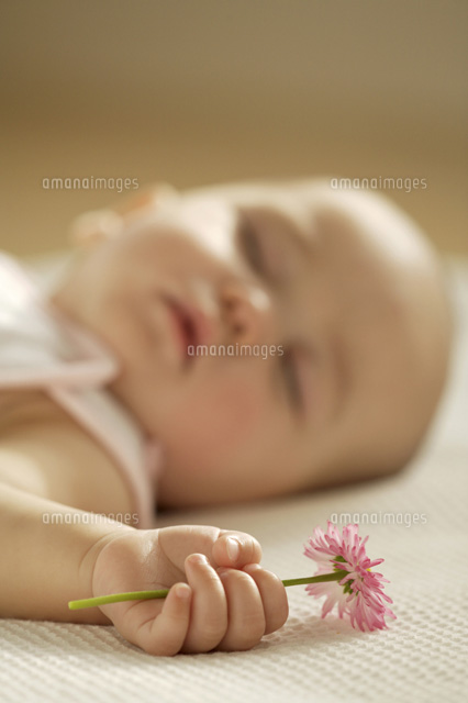 花を握って眠る赤ちゃん a の写真素材 イラスト素材 アマナイメージズ