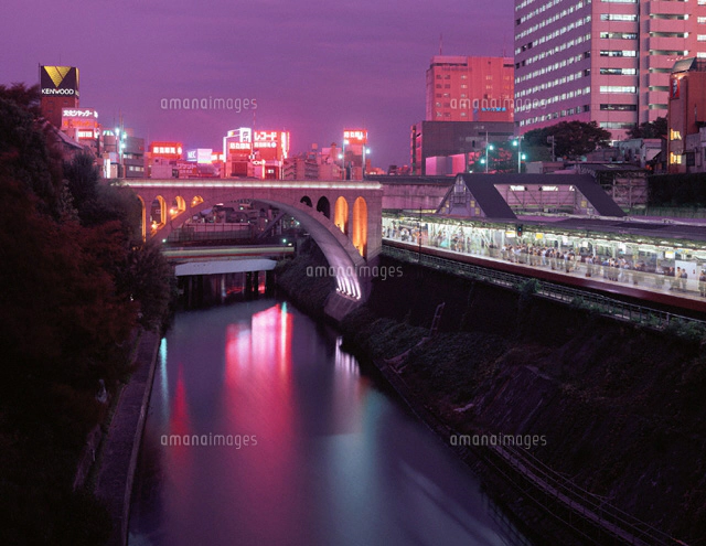 聖橋とお茶の水駅の夜景[25206003854]の写真・イラスト素材