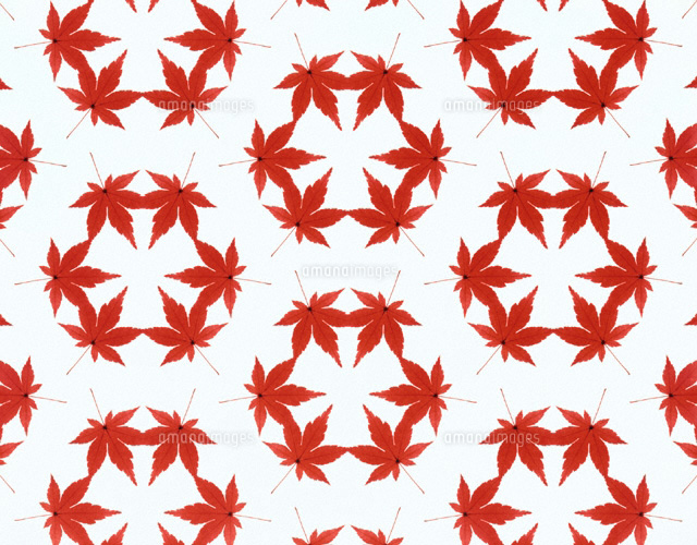 紅葉模様の和紙パーテーション 紅葉模様の和紙パーテーション