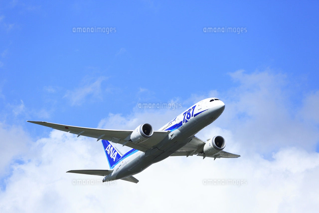 ジェット機 ANA 787[02058091011]の写真・イラスト素材｜アマナイメージズ