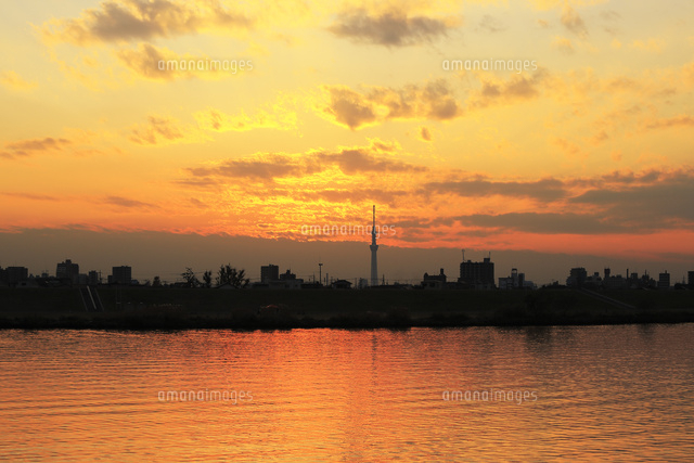 江戸川の夕日とスカイツリー[02058091180]の写真・イラスト素材