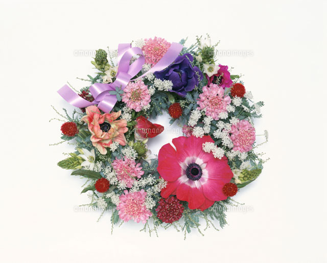 アネモネ リース （pink ? リース (アネモネ) No.62 | green88）