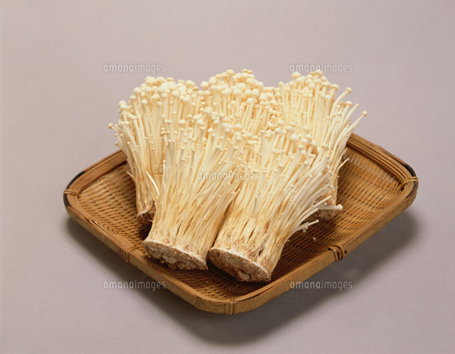 えのき茸 の写真素材 イラスト素材 アマナイメージズ