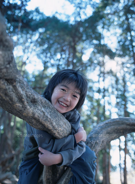 笑顔で木にしがみつく少年[02148011184]の写真・イラスト素材｜アマナ 