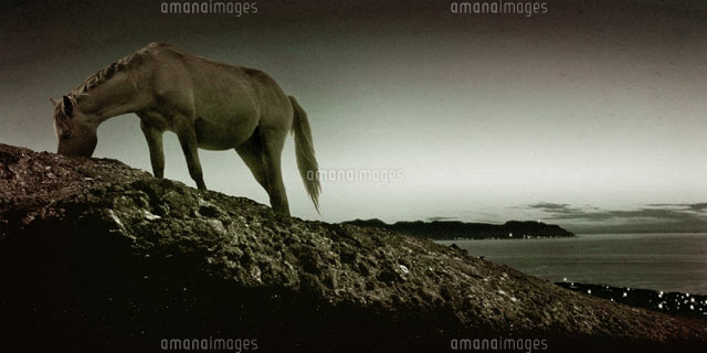 首を下げる馬 フォトイラスト の写真素材 イラスト素材 アマナイメージズ