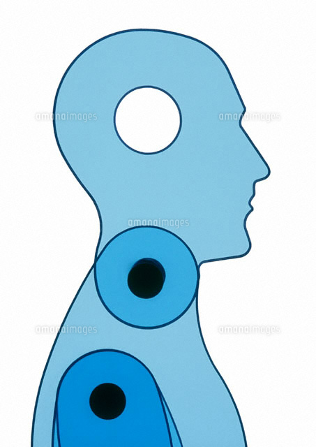 人型定規 の写真素材 イラスト素材 アマナイメージズ