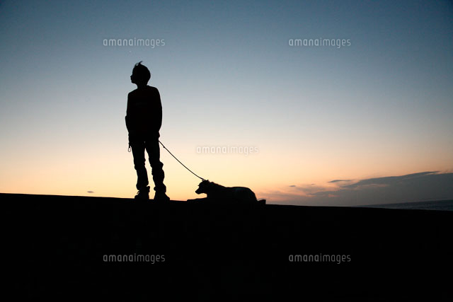 犬を連れた男子中学生のシルエット の写真素材 イラスト素材 アマナイメージズ