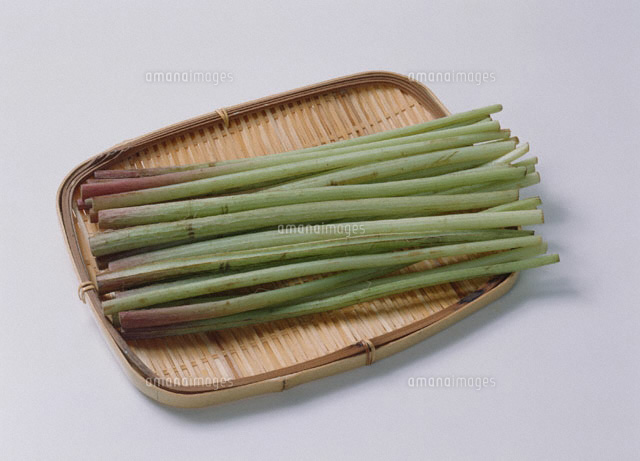 ふき 山ふき の写真素材 イラスト素材 アマナイメージズ