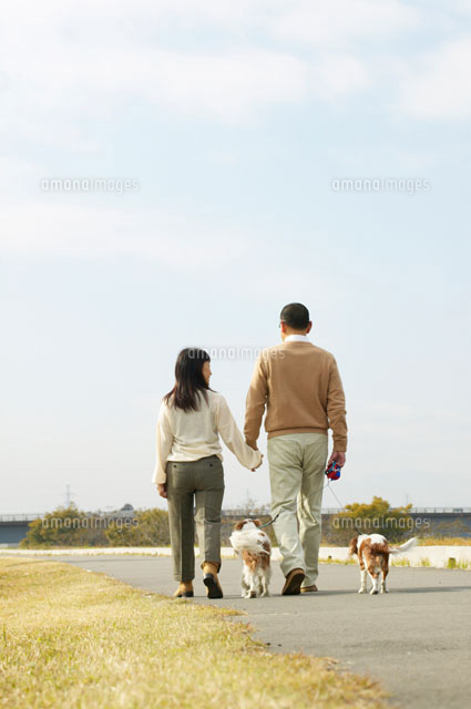 犬を連れて散歩する夫婦の後姿 a の写真素材 イラスト素材 アマナイメージズ