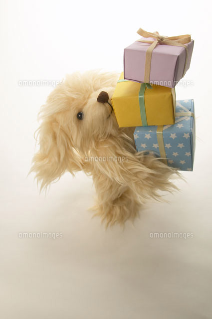 プレゼントの箱を抱えた犬のぬいぐるみ c の写真素材 イラスト素材 アマナイメージズ プレゼントの箱を抱えた犬のぬいぐるみ c の写真素材 イラスト素材 アマナイメージズ