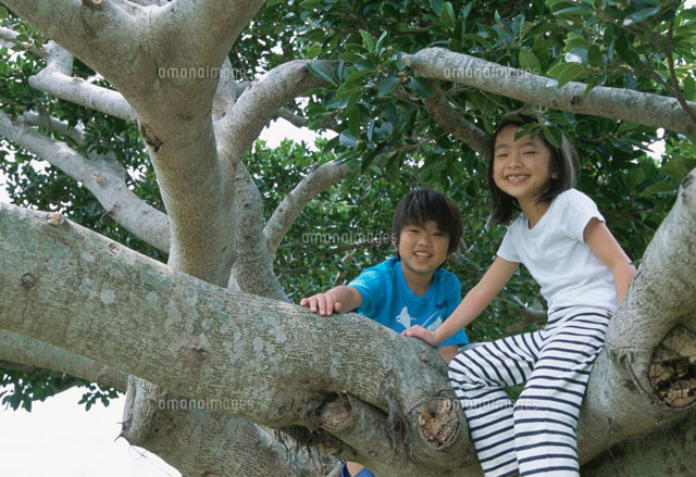木登りをする男の子と女の子[02298000620]の写真・イラスト素材