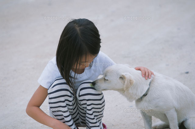 犬をなでる女の子 a の写真素材 イラスト素材 アマナイメージズ