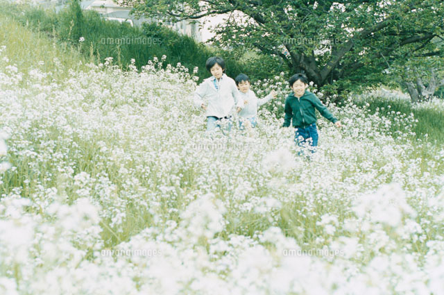 花畑の中を走る３人の少年 の写真素材 イラスト素材 アマナイメージズ