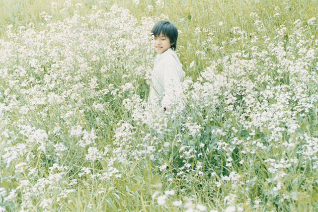花畑の中の少年 の写真素材 イラスト素材 アマナイメージズ