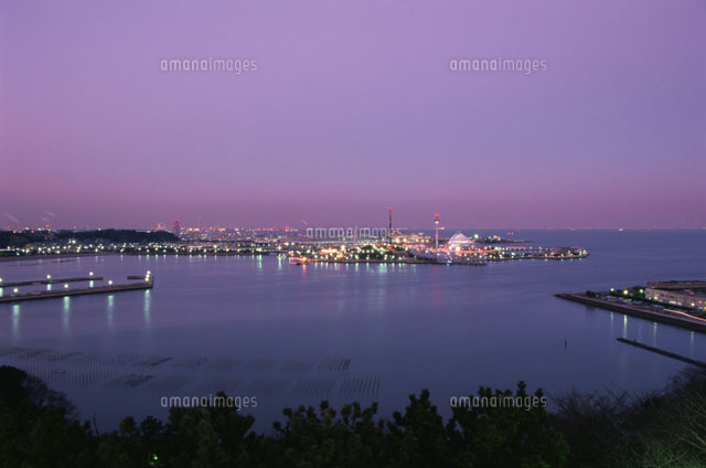 八景島シーパラダイスの夜景 の写真素材 イラスト素材 アマナイメージズ