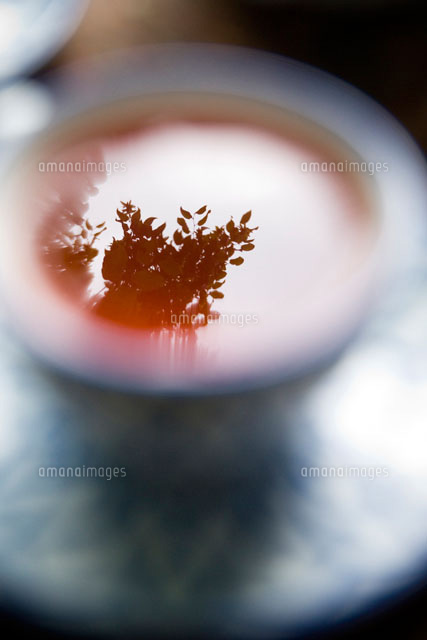 紅茶に映る木のシルエット の写真素材 イラスト素材 アマナイメージズ