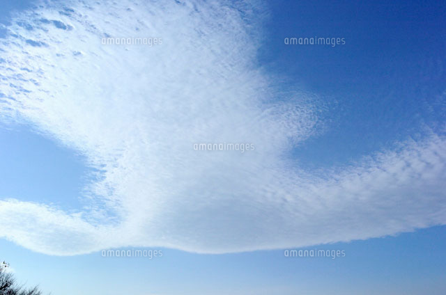 鳥の形をした雲[02359000182]の写真・イラスト素材｜アマナイメージズ
