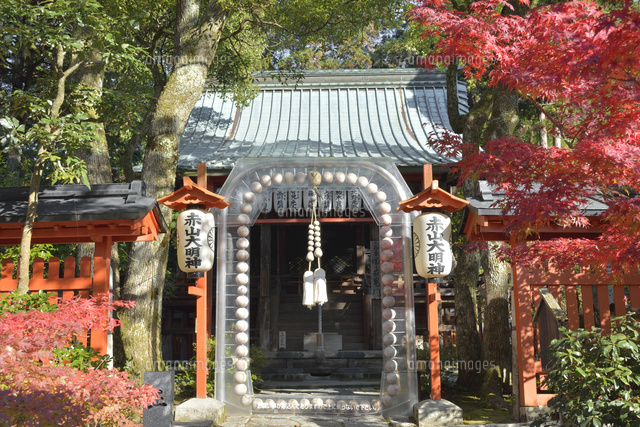 赤山禅院と紅葉 の写真素材 イラスト素材 アマナイメージズ
