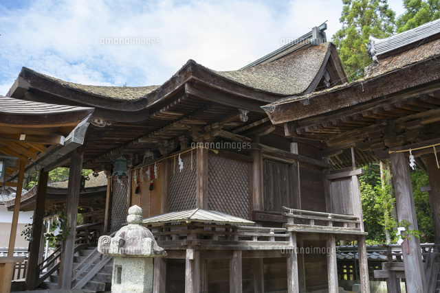 苗村神社西本殿 の写真素材 イラスト素材 アマナイメージズ
