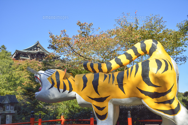 信貴山朝護孫子寺,本堂と大寅[02698000192]の写真・イラスト素材
