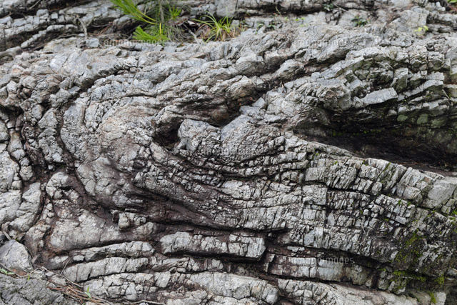 層状チャートの横臥褶曲露頭 の写真素材 イラスト素材 アマナイメージズ
