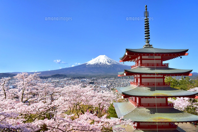富士山と五重塔に桜[02834000145]の写真・イラスト素材｜アマナイメージズ