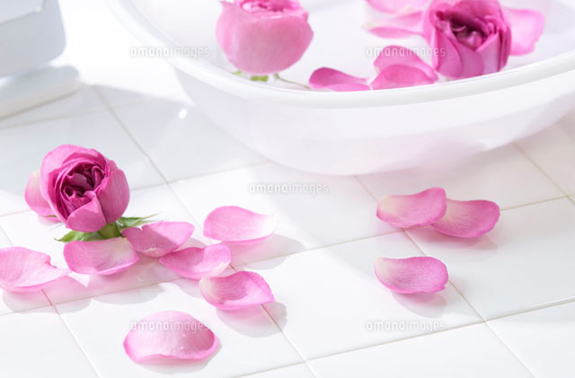 薔薇の花びらと洗面器 の写真素材 イラスト素材 アマナイメージズ