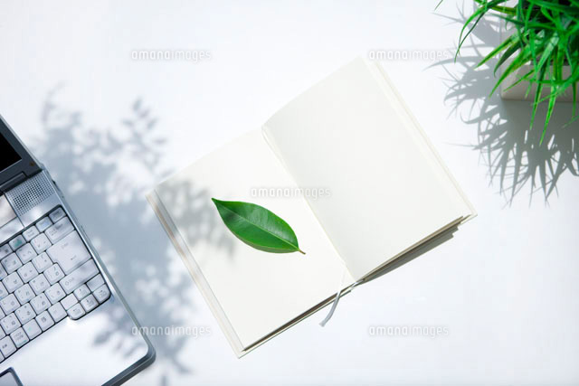 デスクに置かれた本と葉っぱ の写真素材 イラスト素材 アマナイメージズ