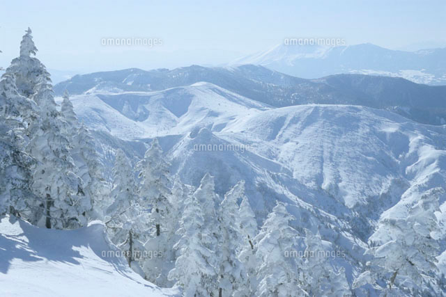 志賀高原の冬景色 の写真素材 イラスト素材 アマナイメージズ